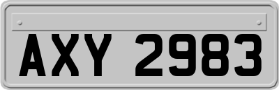 AXY2983
