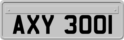 AXY3001