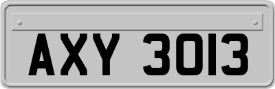 AXY3013