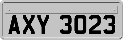 AXY3023