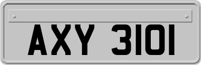 AXY3101