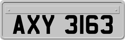 AXY3163