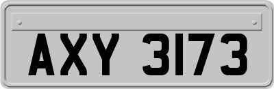 AXY3173