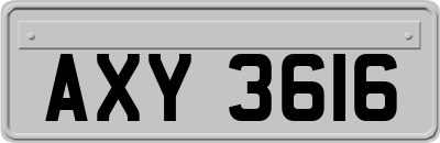 AXY3616