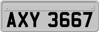AXY3667