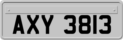 AXY3813
