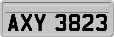 AXY3823