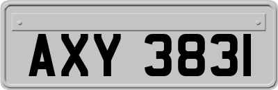 AXY3831