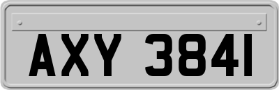AXY3841