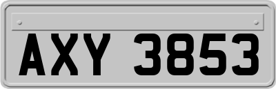 AXY3853