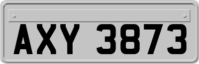 AXY3873