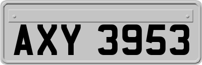 AXY3953