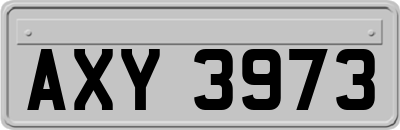AXY3973