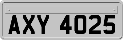 AXY4025