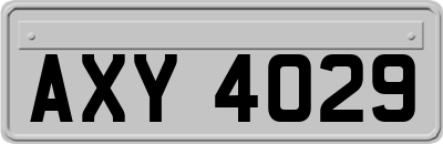 AXY4029