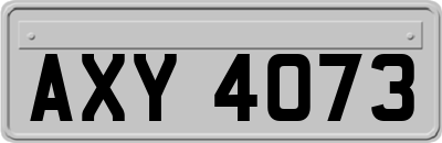 AXY4073