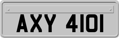 AXY4101