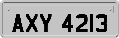 AXY4213