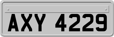 AXY4229