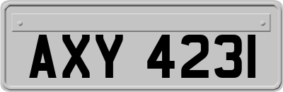 AXY4231