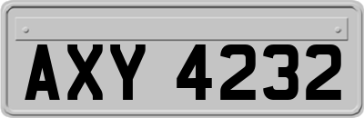 AXY4232