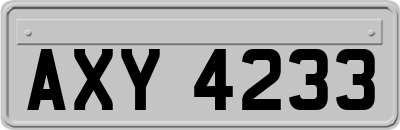 AXY4233