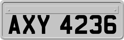 AXY4236