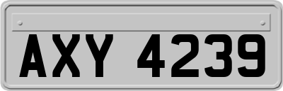 AXY4239