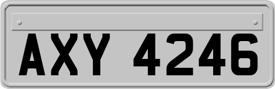 AXY4246