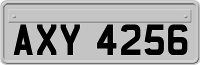 AXY4256