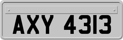 AXY4313