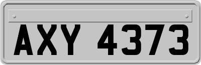 AXY4373