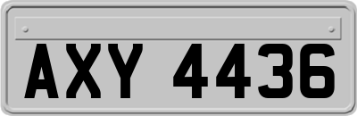 AXY4436