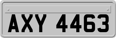 AXY4463