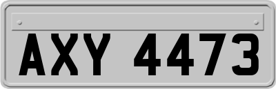 AXY4473