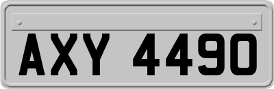 AXY4490