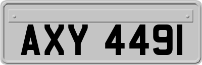 AXY4491