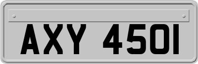 AXY4501