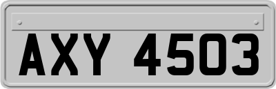 AXY4503