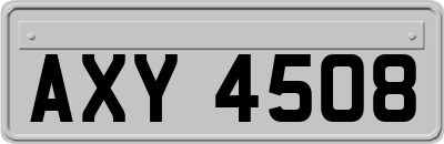 AXY4508
