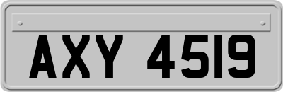 AXY4519
