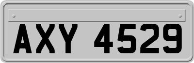 AXY4529