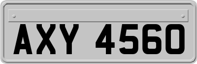 AXY4560