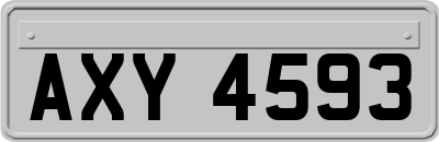 AXY4593
