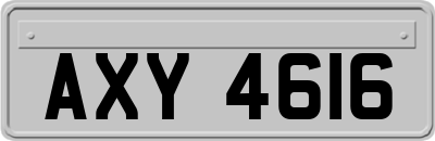 AXY4616