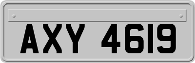 AXY4619