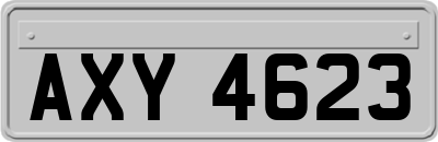 AXY4623