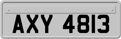 AXY4813