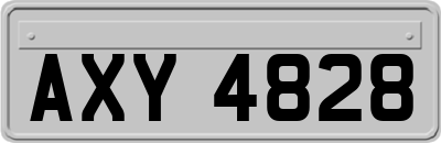 AXY4828
