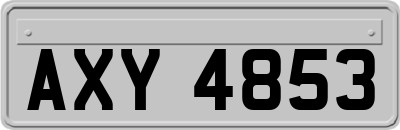 AXY4853